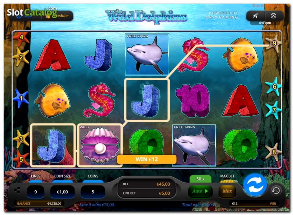 £260 Casino tournaments freeroll at bWin Casino
