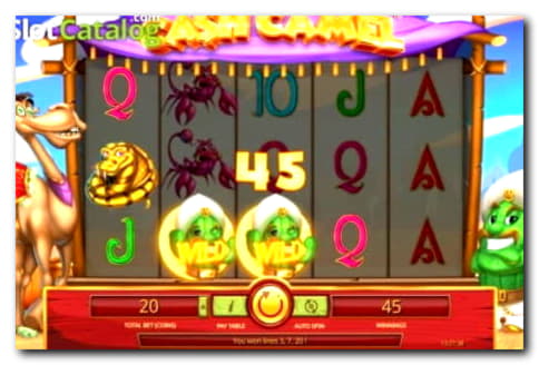 $290 Free Casino Tournament at No Bonus Casino