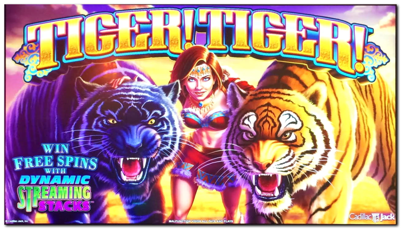 275 Free Spins right now at Ruby Fortune Casino