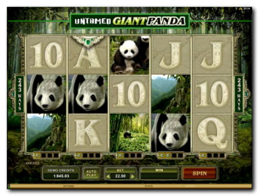 215 Free Spins right now at Slots Million Casino