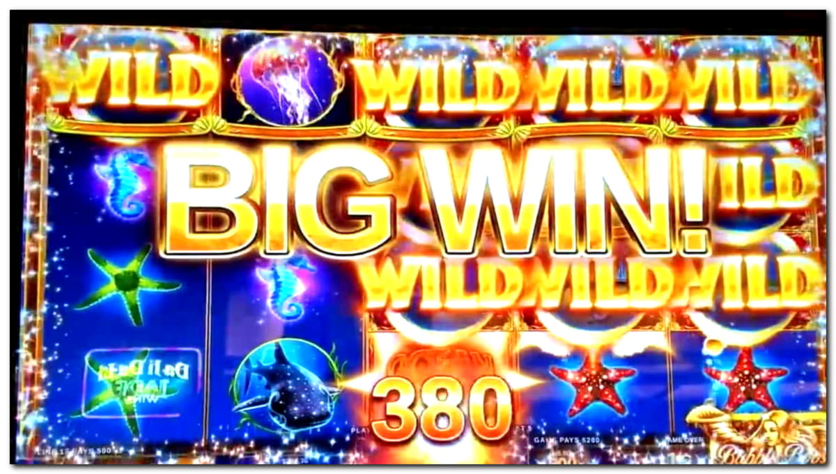 50 free spins casino at Cashmio Casino