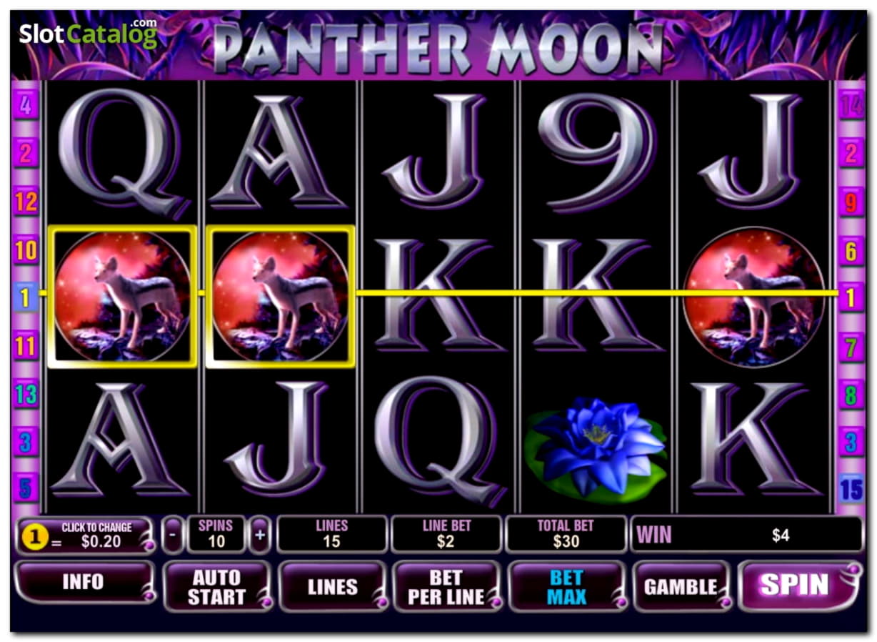 Eur 55 No deposit casino bonus at Come On Casino