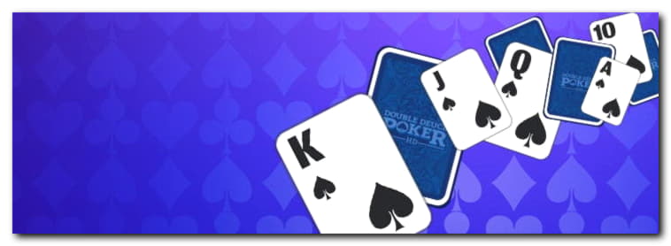 Eur 365 Free Chip at No Bonus Casino