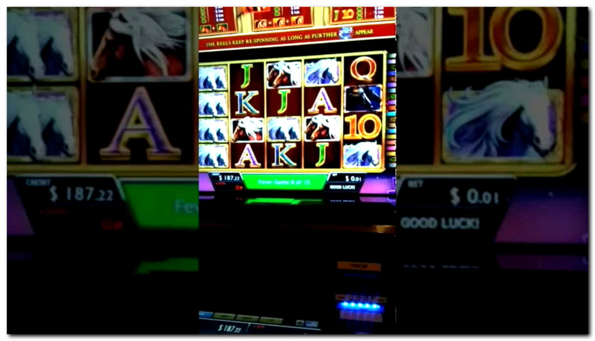 265 Free Spins no deposit at Gaming Club Casino