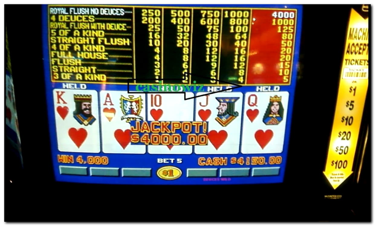 275 Loyalty Free Spins! at Royal Panda Casino