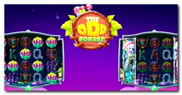 EURO 710 Mobile freeroll slot tournament at Cashmio Casino