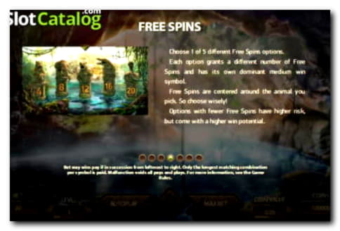 £645 Online Casino Tournament at Cashmio Casino