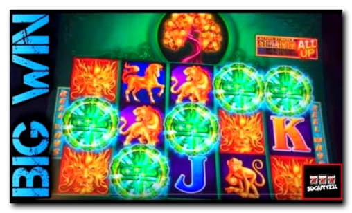 EURO 77 Free Casino Tournament at Cafe Casino