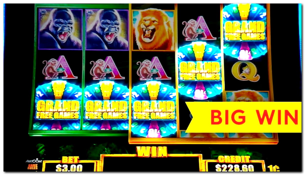 930% Deposit match bonus at Intertops Casino
