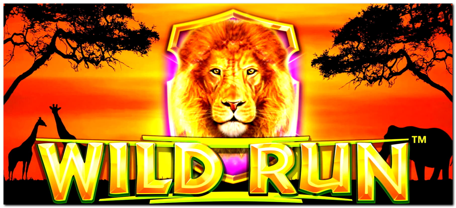 EUR 215 Free Chip at Ruby Fortune Casino