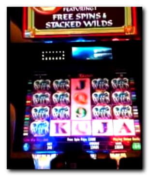 $770 Free Casino Tournament at Casino com