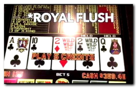 €515 Casino tournaments freeroll at Treasure Island Jackpots Casino (Australia Casino Mirror)