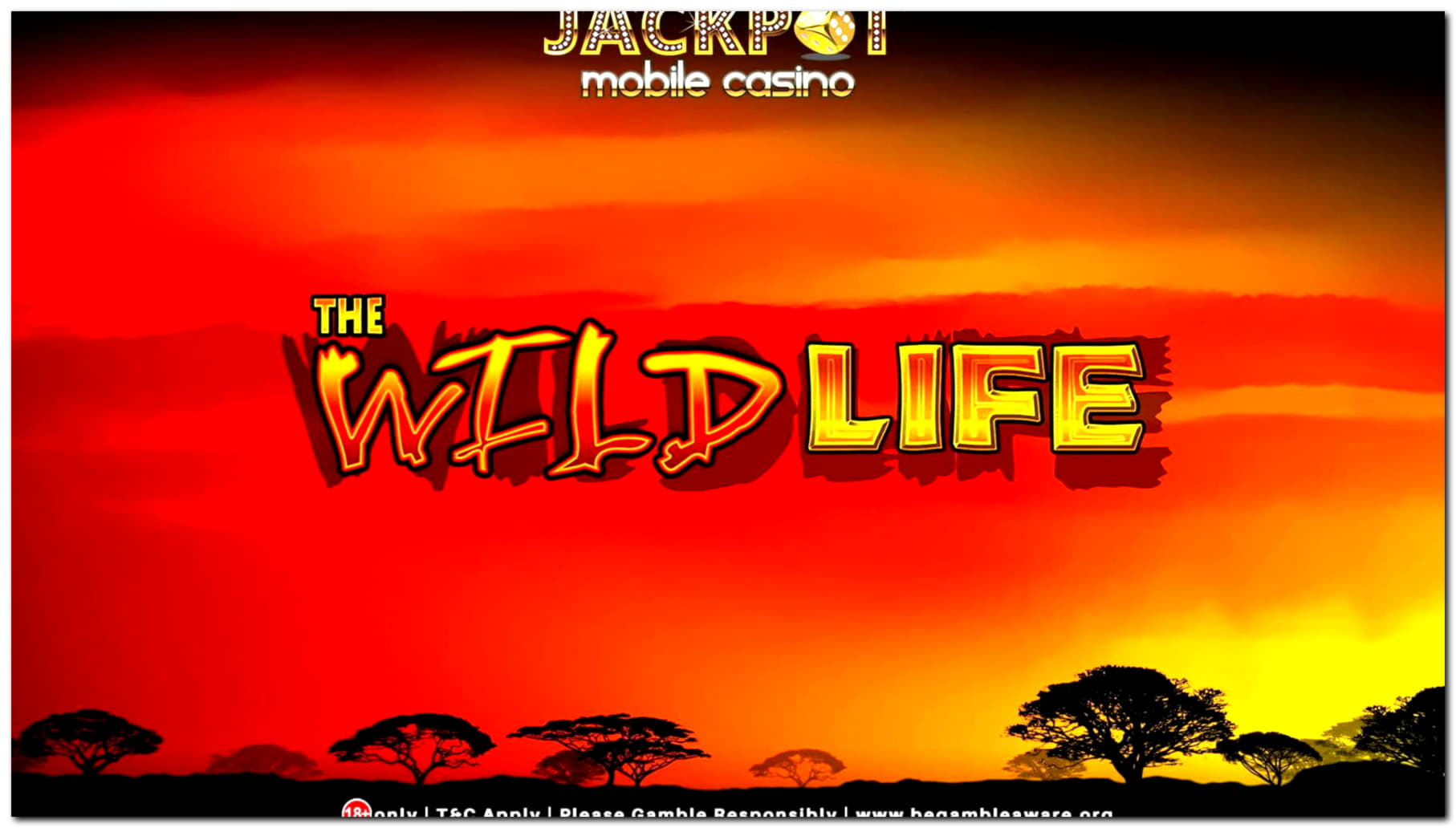 €65 Daily freeroll slot tournament at Lincoln Casino