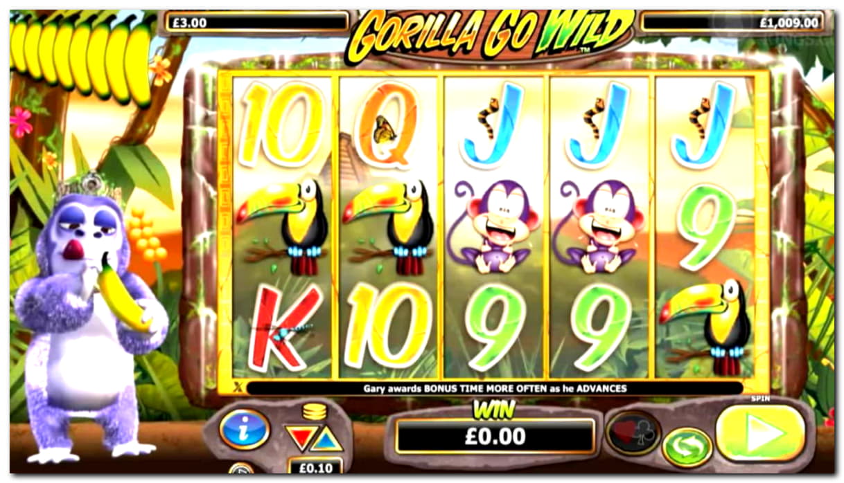 325% Casino match bonus at Golden Star Casino