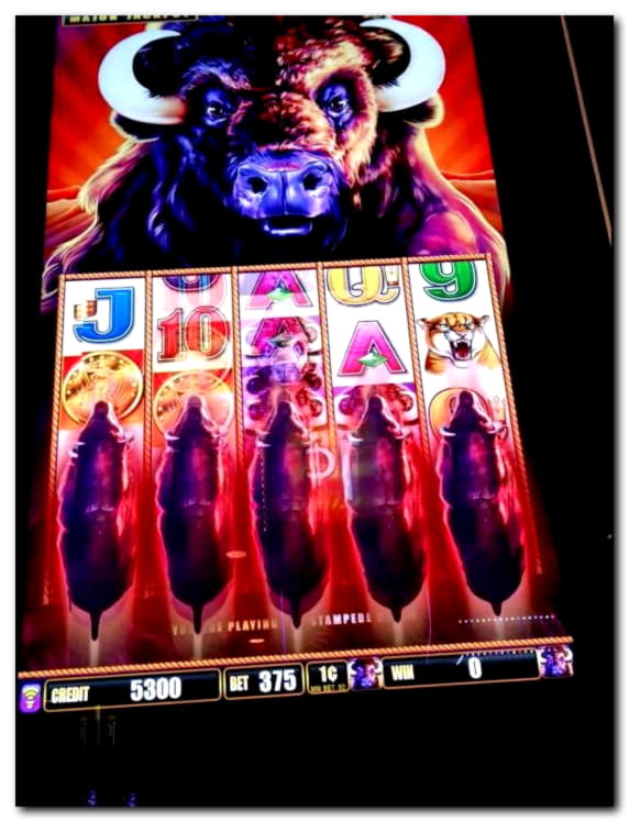 £2595 NO DEPOSIT BONUS CODE at Party Casino
