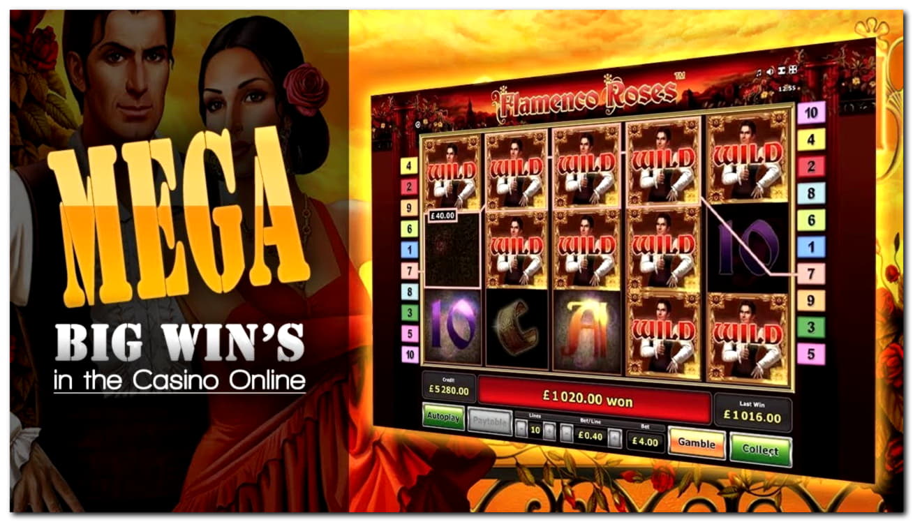 255 free spins no deposit at Cashmio Casino