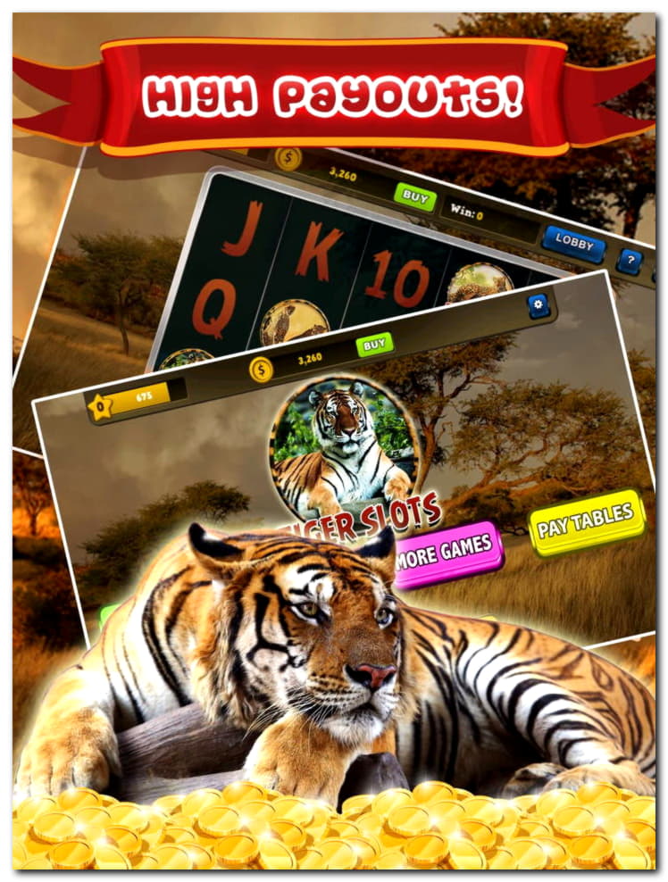 195% No Rules Bonus! at Cashmio Casino