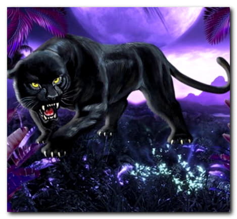 £4444 No Deposit Casino Bonus at Golden Star Casino
