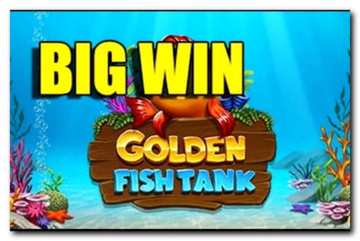 EURO 4605 No deposit at Golden Star Casino