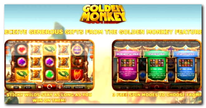 88 Free Spins right now at No Bonus Casino