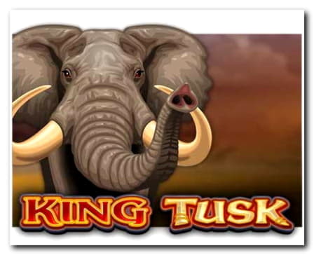 710% Match bonus at Spin Palace Casino