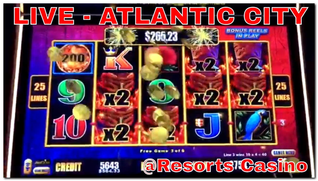 250% Signup Casino Bonus at No Bonus Casino