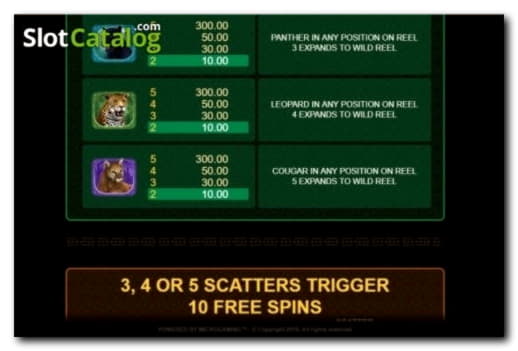 410% First deposit bonus at Casino com