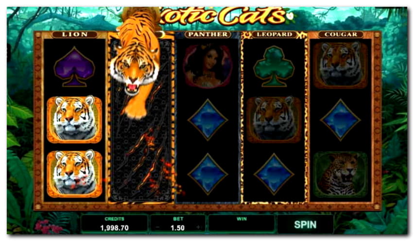 75 Loyalty Free Spins! at Power Spins Casino