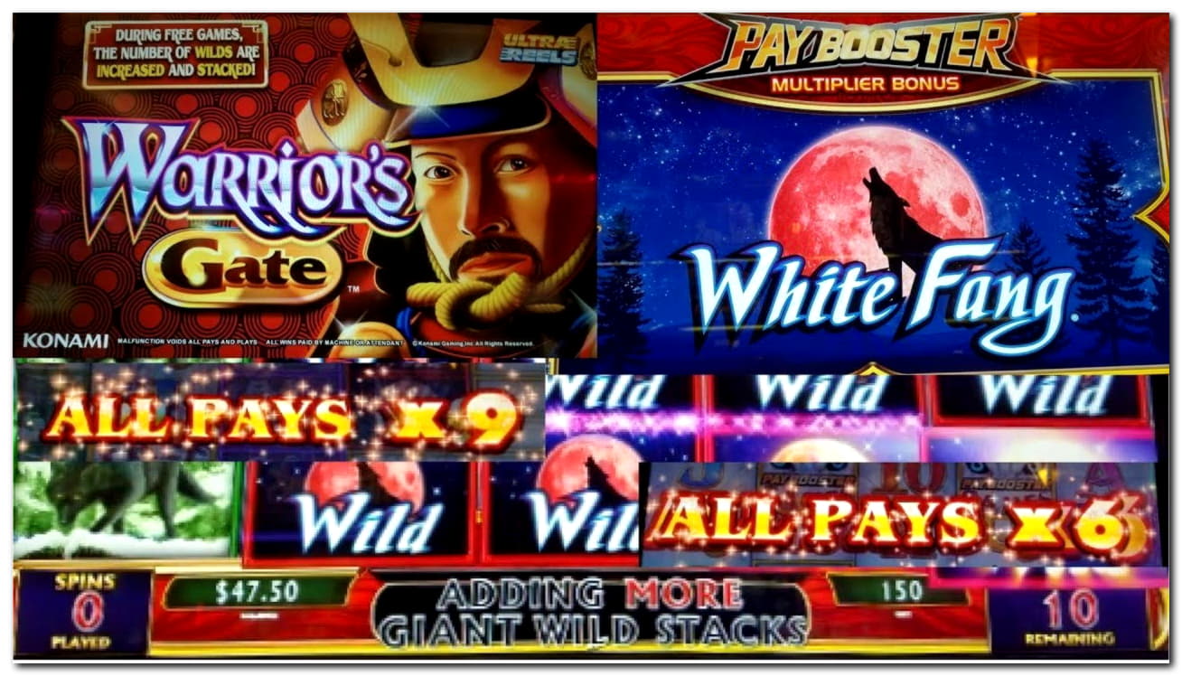 Eur 130 Daily freeroll slot tournament at Spin Palace Casino