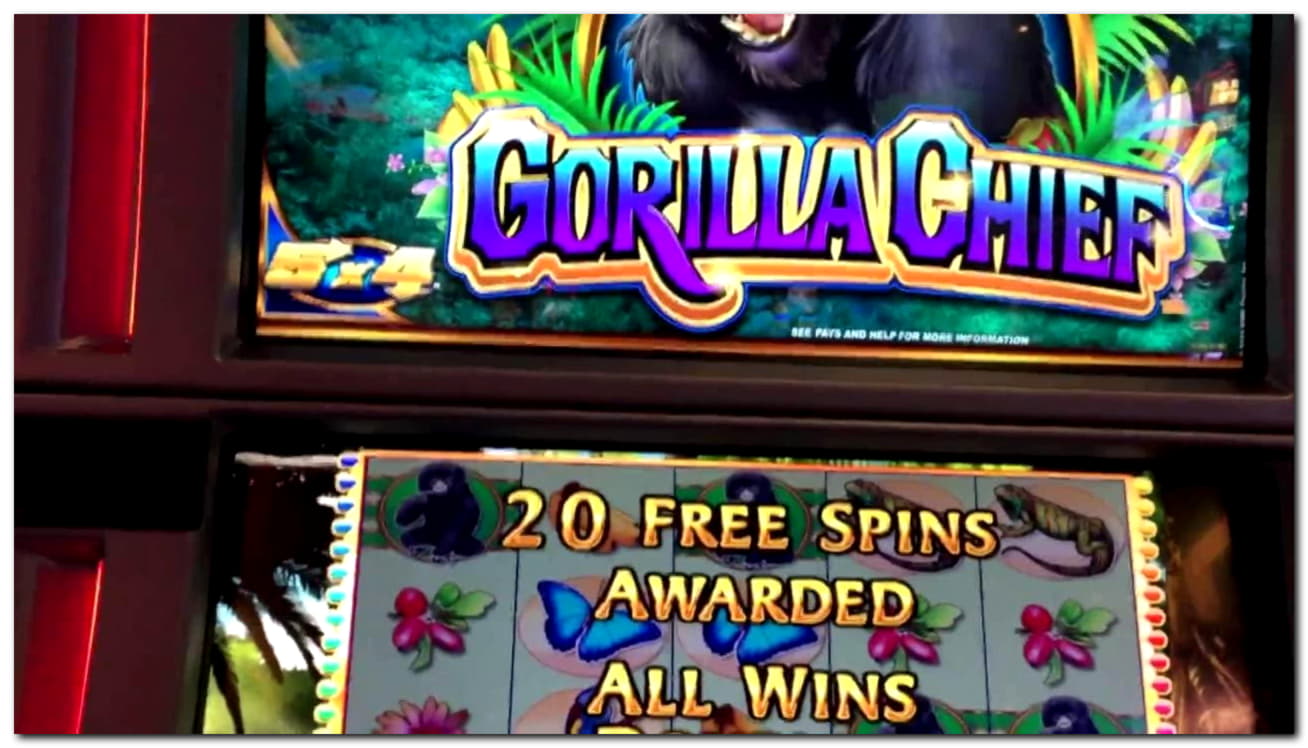 460% No Rules Bonus! at Power Spins Casino