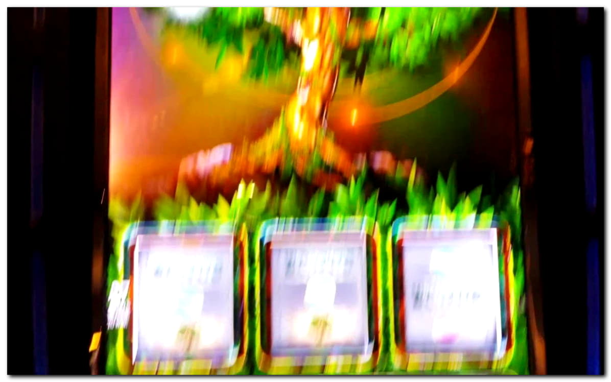 €695 free casino chip at Maldives Casino 