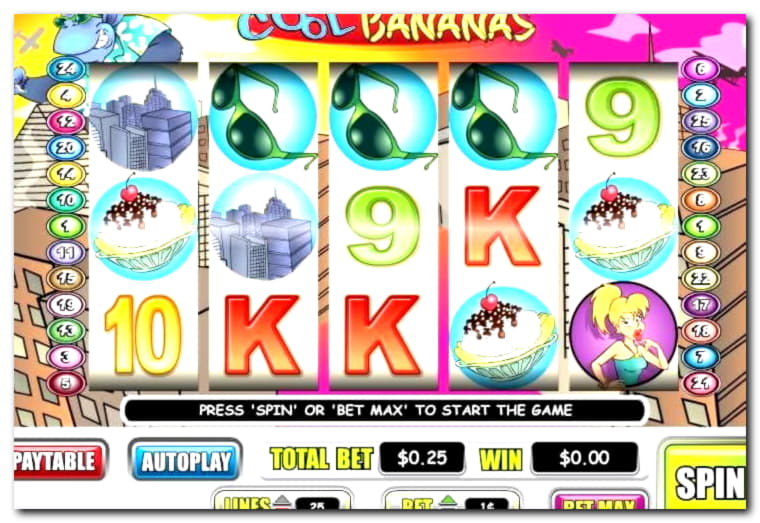 €480 Daily freeroll slot tournament at bWin Casino
