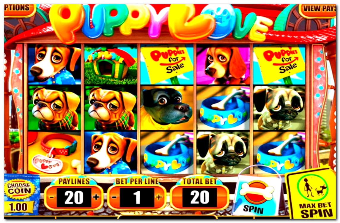 130% First Deposit Bonus at Dafa Bet Casino