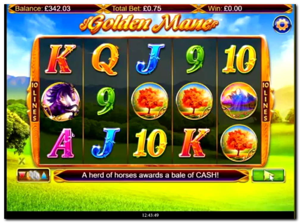 950% No Rules Bonus! at Casino Las Vegas