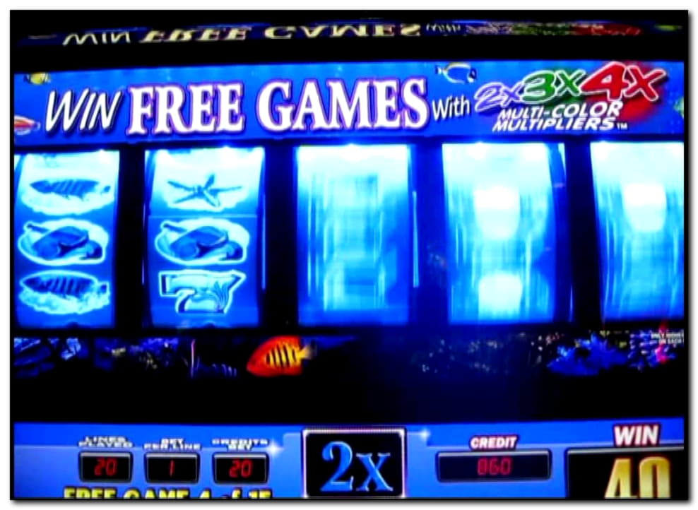 EURO 560 Free Casino Ticket at Maldives Casino 