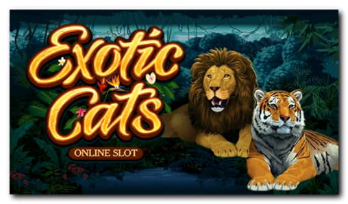 €480 Online Casino Tournament at Maldives Casino 