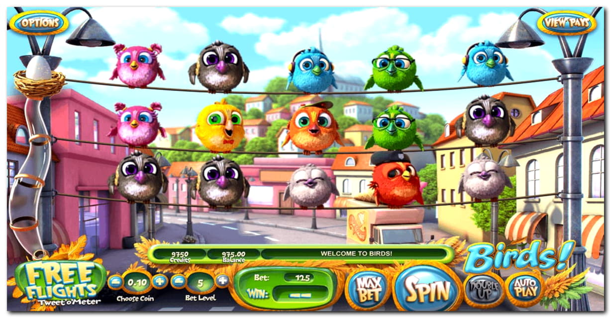 165 free spins no deposit casino at Maldives Casino 