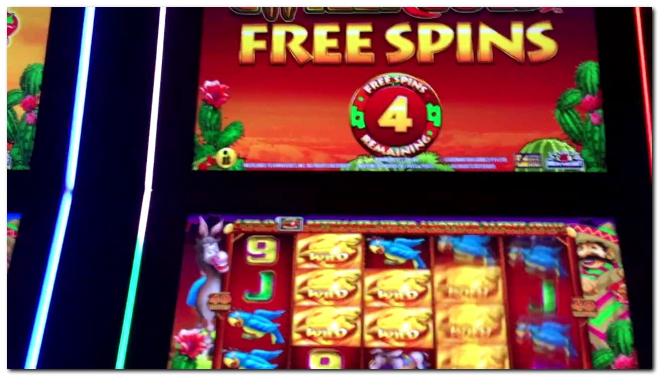 300 Free spins no deposit casino at Casino Las Vegas