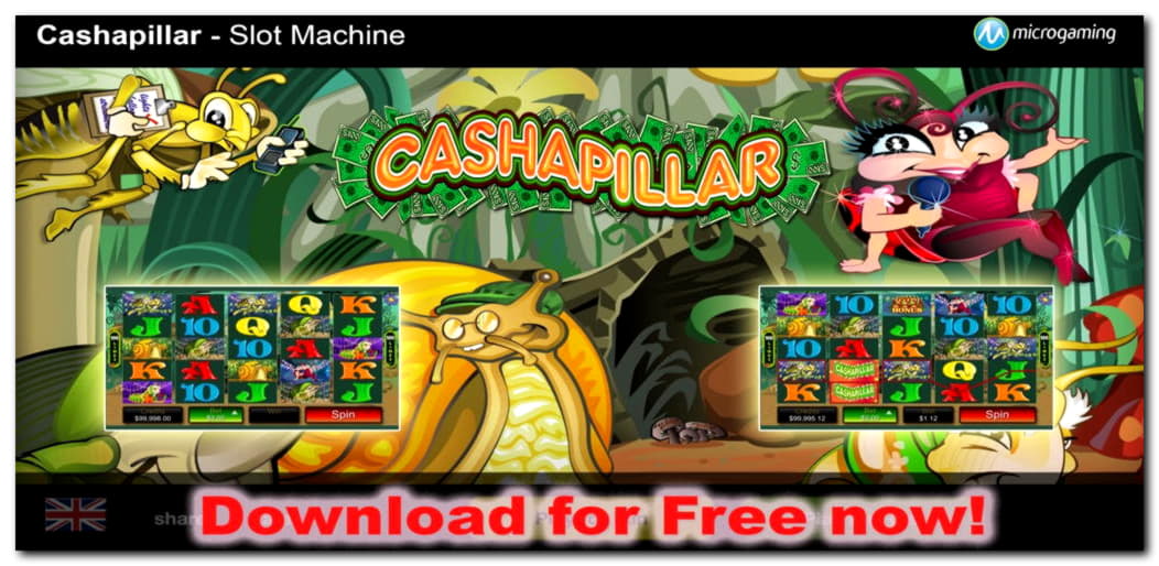 €555 Free Casino Chip at Cashmio Casino