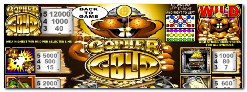 135 FREE SPINS at Kuwait Casino