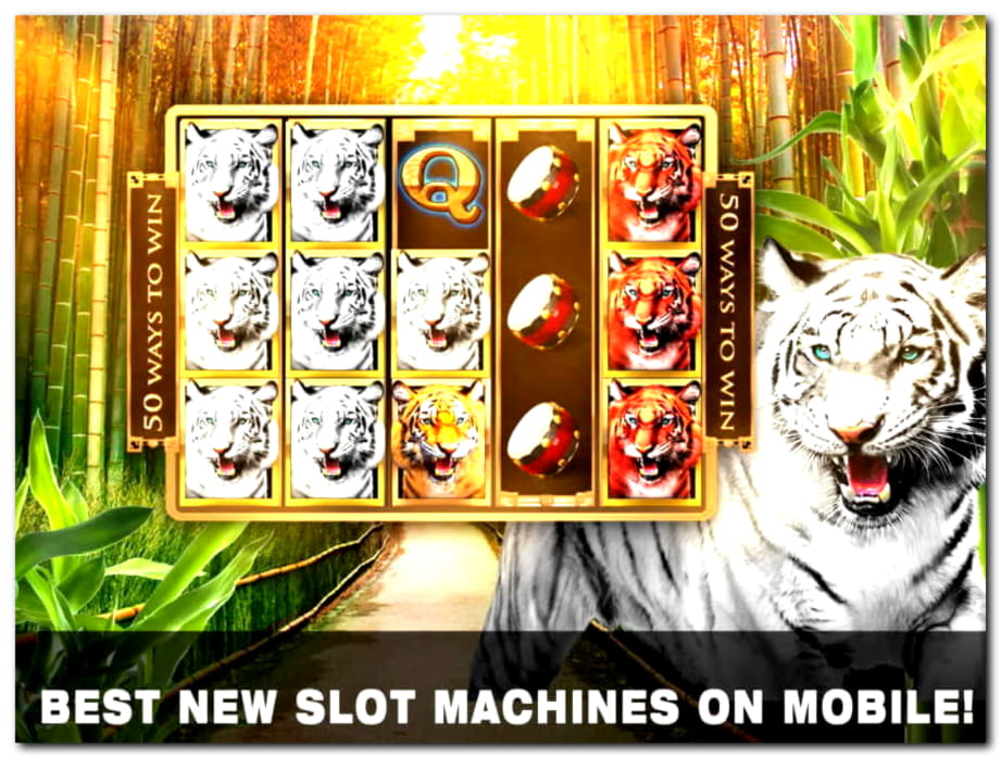 ﻿$355 free chip at Party Casino