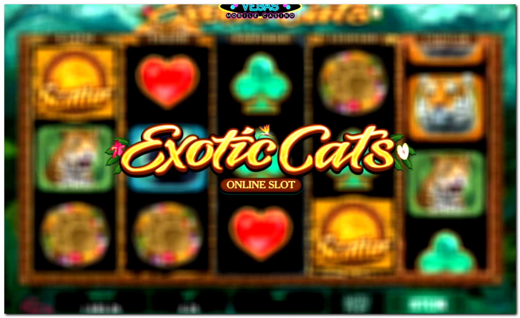€260 NO DEPOSIT BONUS CASINO at bWin Casino