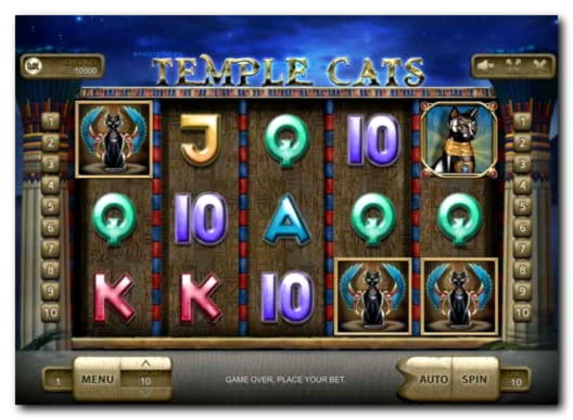 €2920 NO DEPOSIT BONUS at Dafa Bet Casino