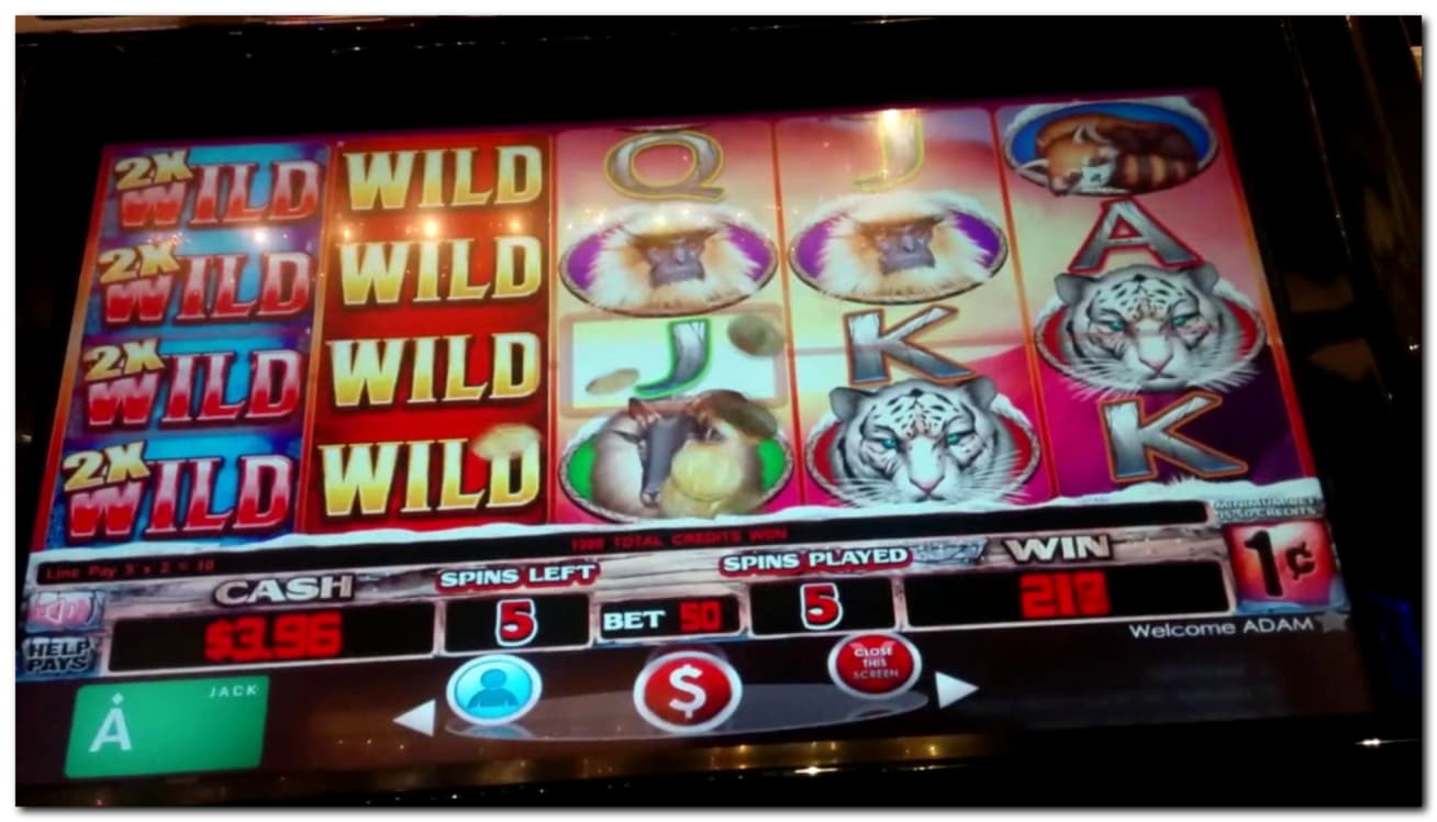 $66 Free Casino Ticket at Top Casino