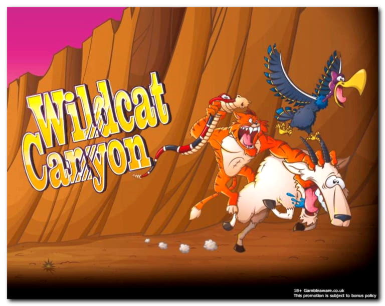 70 Free Spins no deposit at Casino com