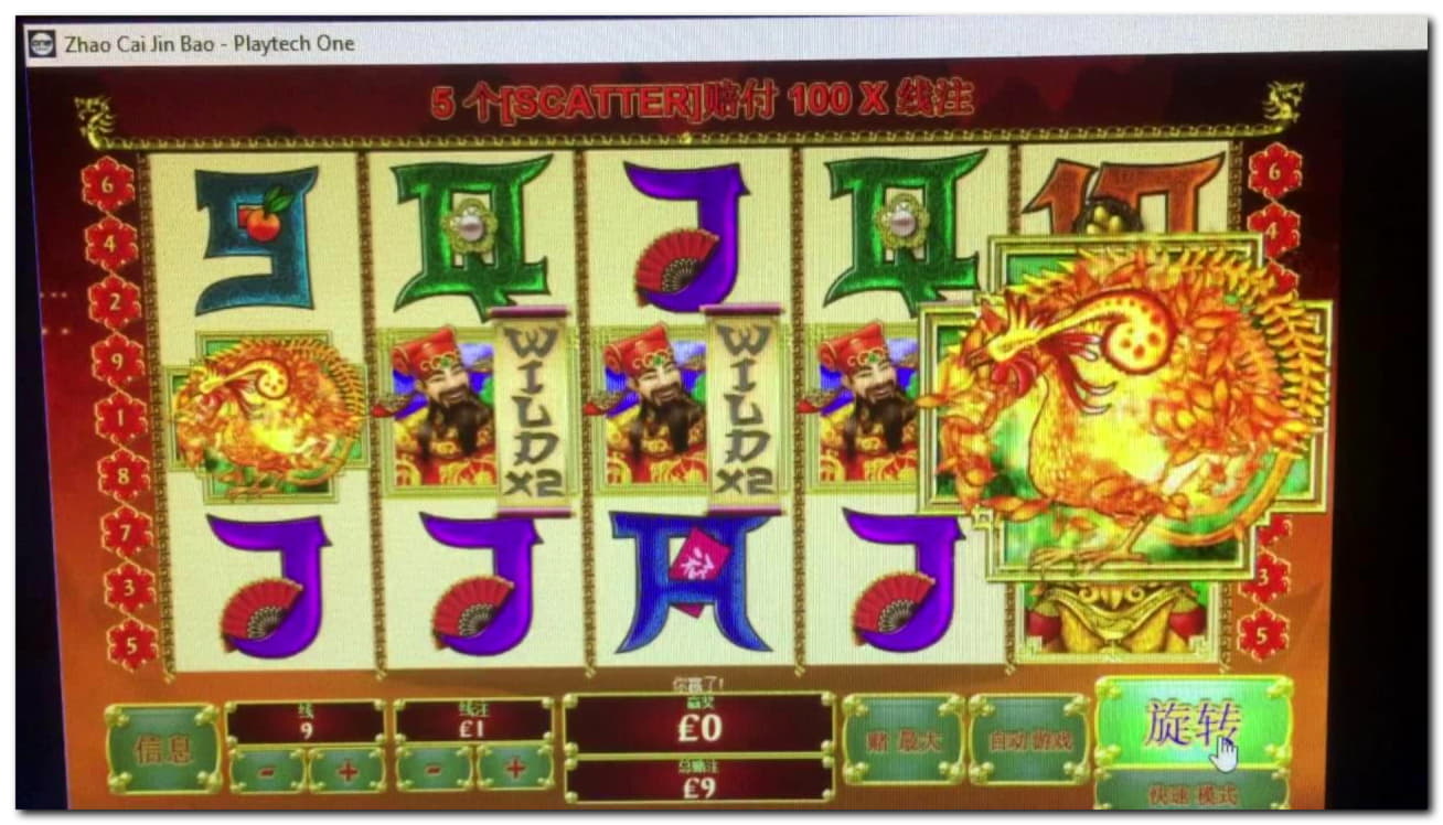 11 FREE SPINS at Dafa Bet Casino