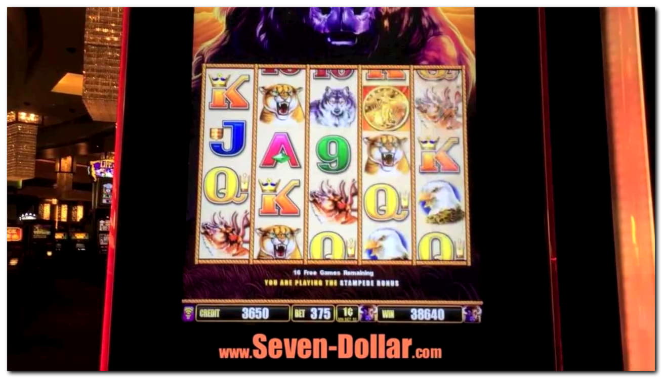 77 Free Spins no deposit casino at Maldives Casino 