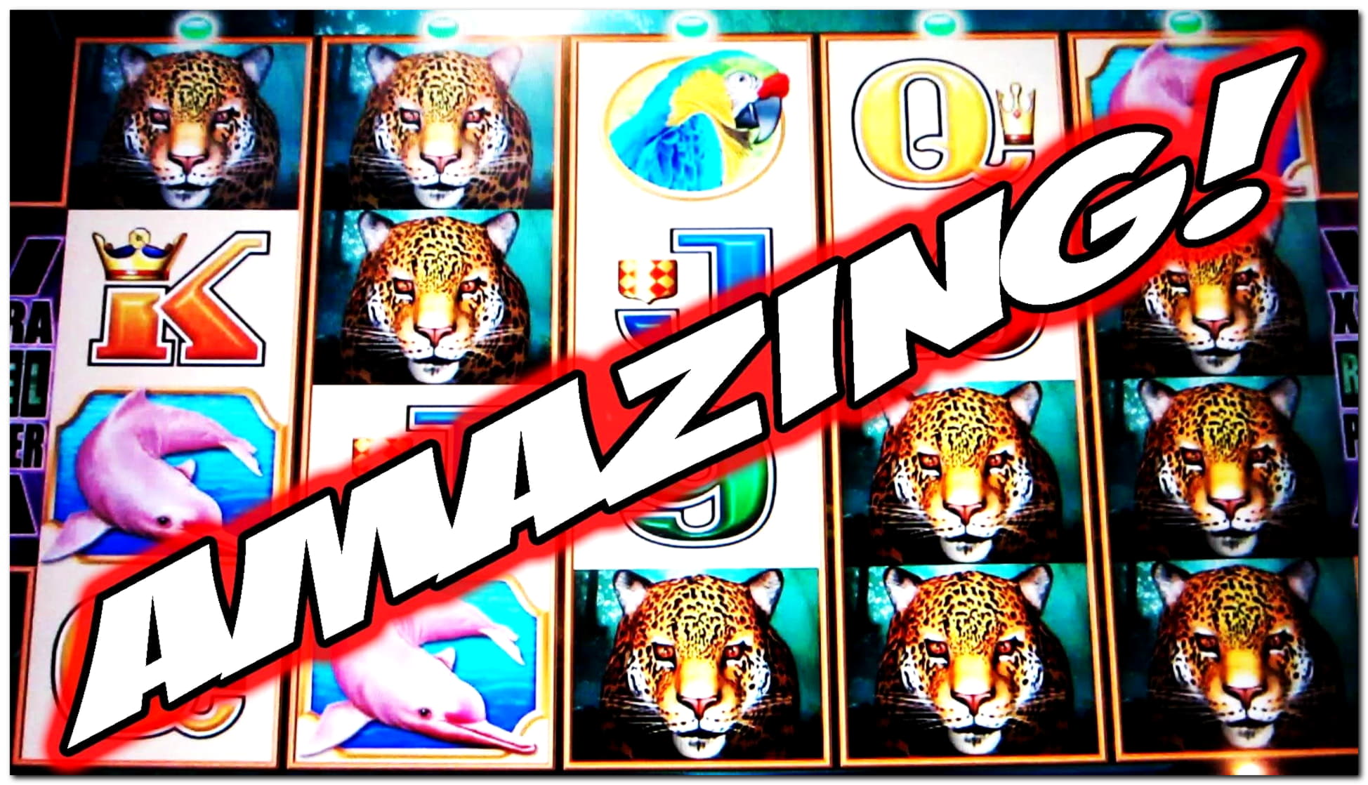 240 Free Casino Spins at Top Casino