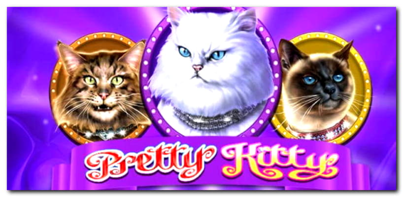 €295 Free Casino Ticket at Cashmio Casino