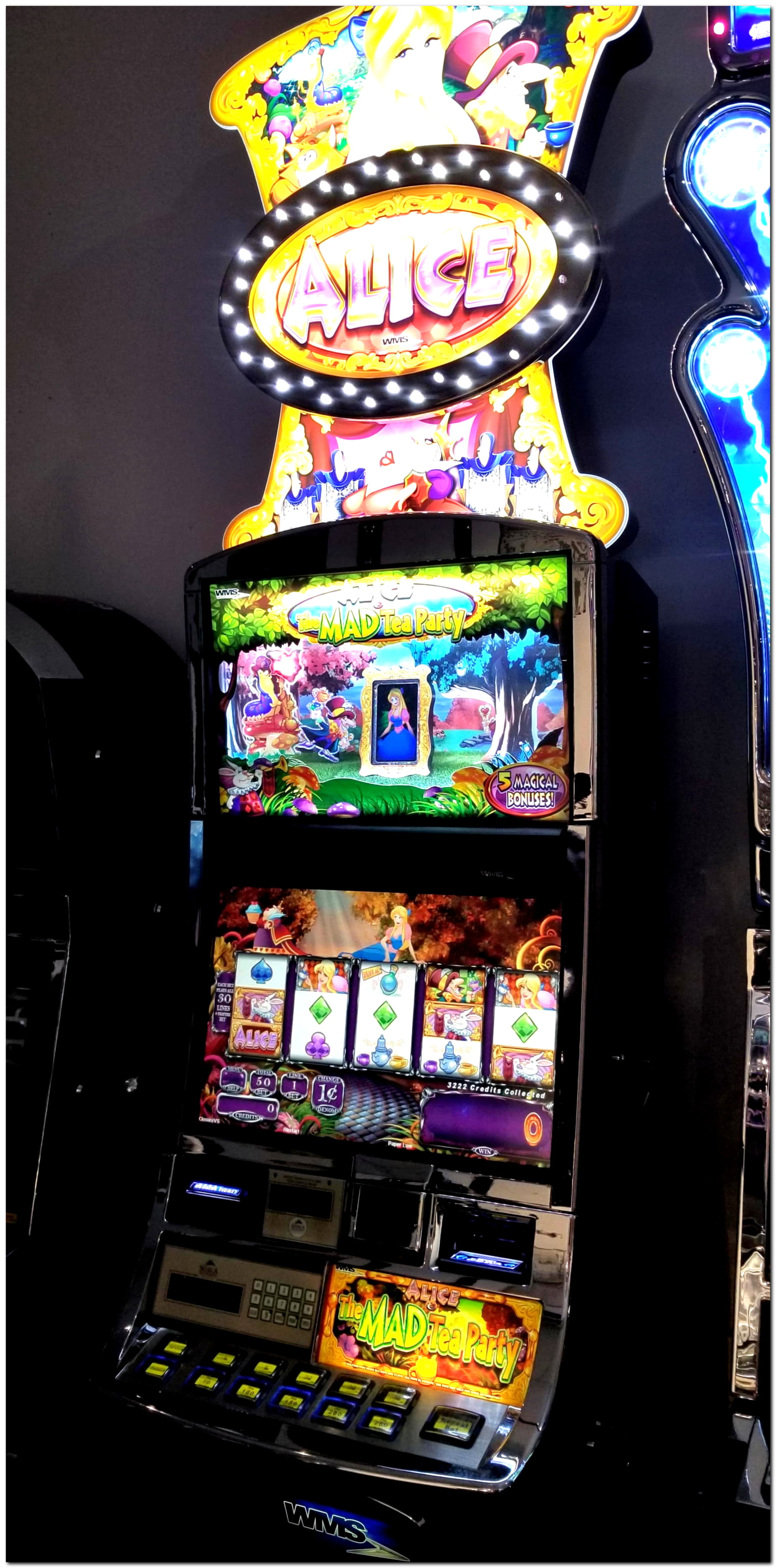 685% No Rules Bonus! at Intertops Casino